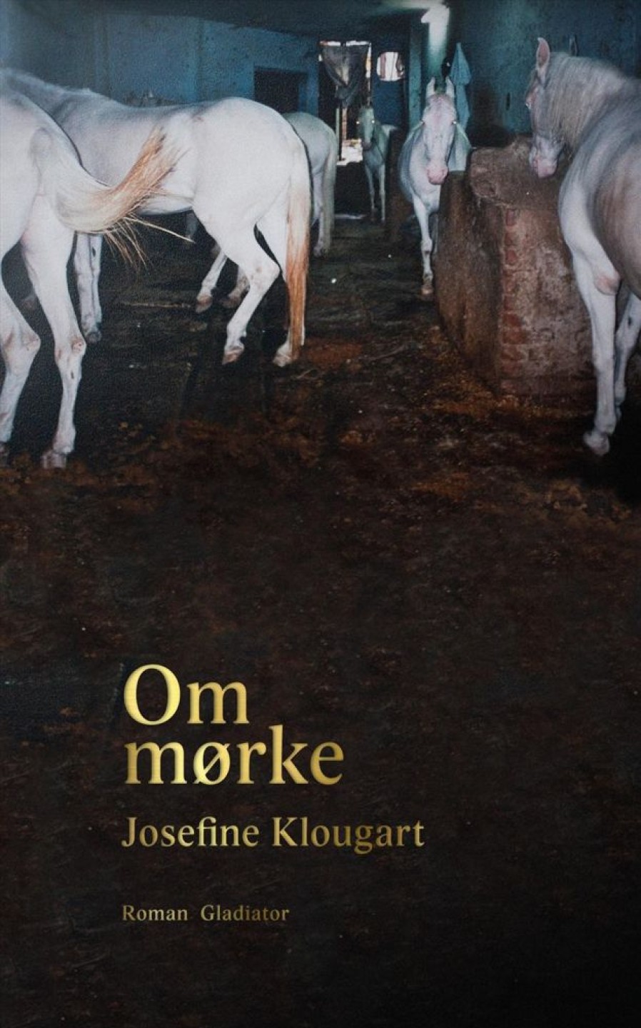 Romantisk Skonlitteratur Gladiator Om Morke (Bog, Hardback, Dansk)