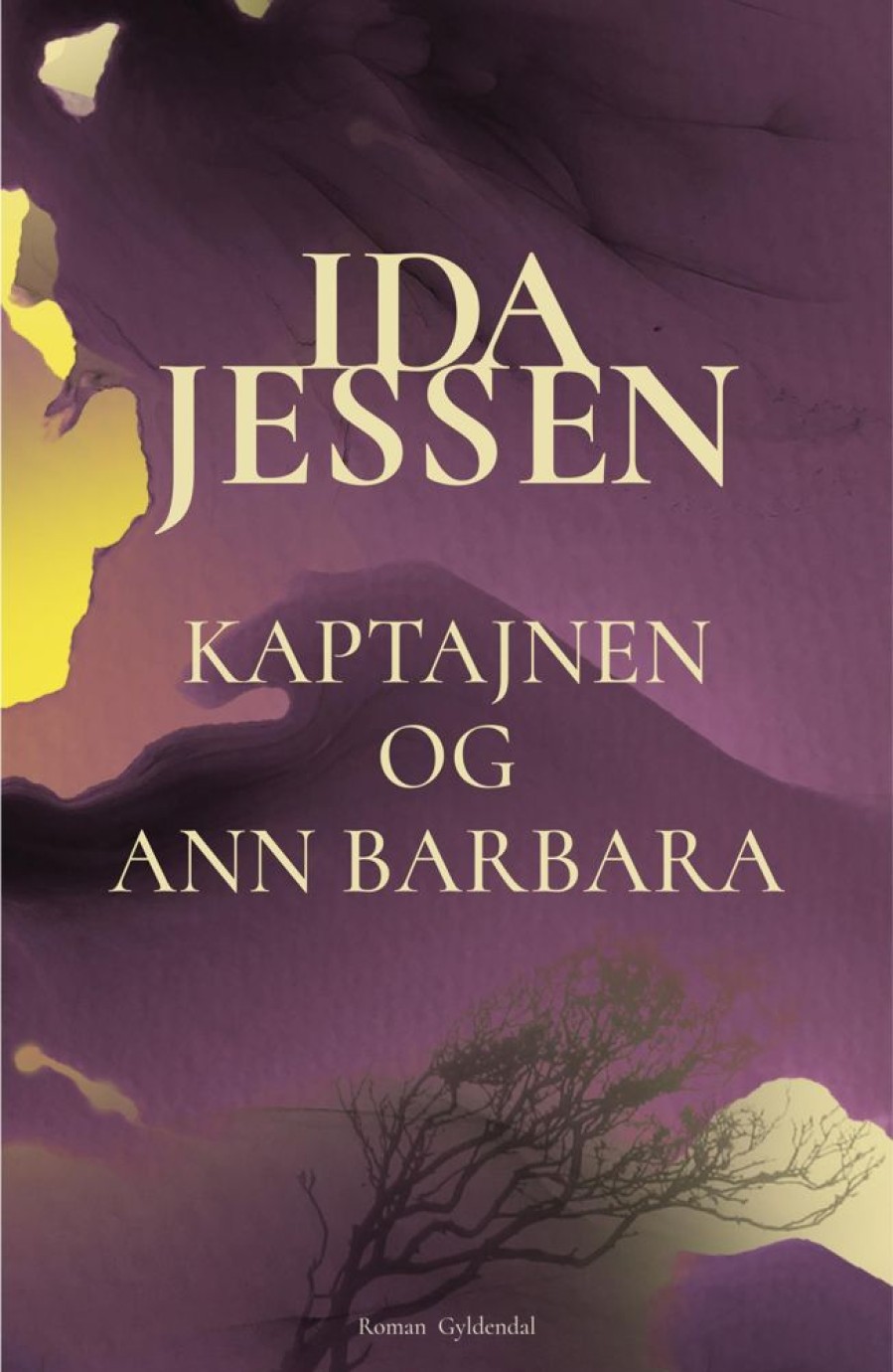 Romantisk Skonlitteratur Gyldendal Kaptajnen Og Ann Barbara (Ebog, Epub, Dansk)