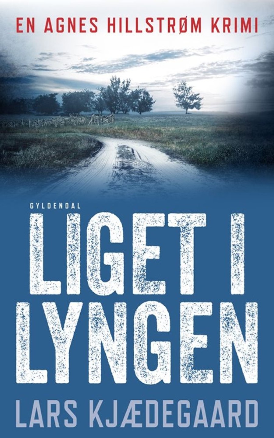 Krimi Og Spaending Rosinante Liget I Lyngen: Agnes Hillstrom 1 (Bog, Haeftet, Dansk)